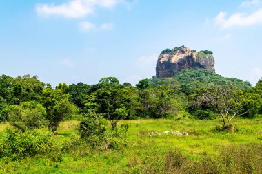 Sigiriya Kaya ya da aslan kaya, Sri Lanka - eski kale, Unesco Dünya Mirası, seyahat hedef