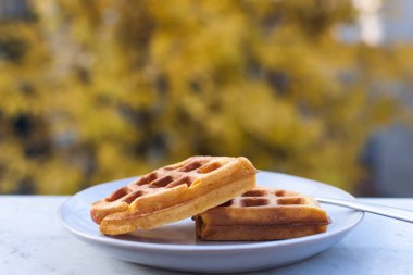 Sağlıklı en az kahvaltı - ev yapımı Belçika Waffle seçici odak