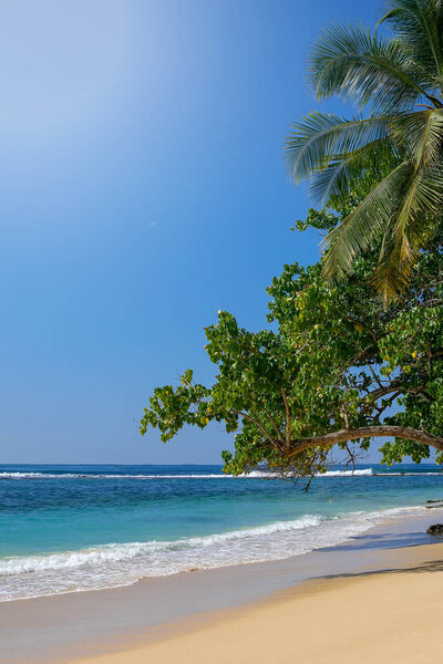 Tropical beach paradise - sand, blue ocean, coconut palm, Sri Lanka, travel destination 2019