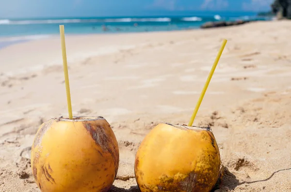 Paraíso Praia Tropical Focagem Seletiva Dois Reis Coco Areia Oceano — Fotografia de Stock