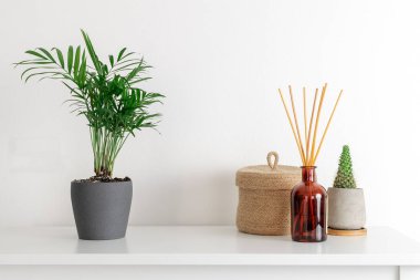 En az kompozisyon, İskandinav İskandinav hygge tarzı, ev iç - kaktüs beton pot, herdem yeşil bitki, koku koku difüzör, küçük hasır sepet, beyaz raf