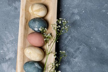 Paskalya tebrik kartı spring - organik doğal olarak boyalı Paskalya yumurtaları, bıldırcın yumurtası, curcuma, kırmızı pancar, hibiscus çay pigmentler ahşap tepsi, gypsophila çiçekler, gri arka plan, rustik tarzı, kopya alanı