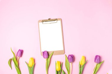 Kadın anneler günü kavramı bahar çiçek, yaşam tarzı blog mockup - sarı ve mor laleler, pembe bir arka plan, kopya alanı, hakkında boş kağıt Pano ana sayfa görünümü