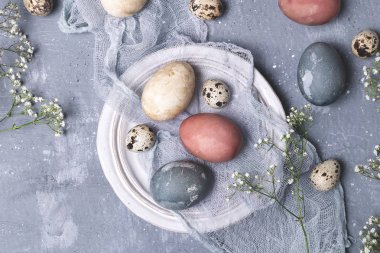 Organik doğal Paskalya kavramı, rustik tarzı - doğal olarak boyalı Paskalya yumurta, bıldırcın yumurtası seramik tabak, curcuma, beetrooot, ebegümeci çayı, gypsophila çiçekler, gri arka plan, kopya alanı