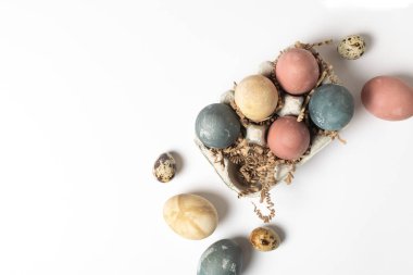 Seçici odak renkli Paskalya yumurta karton c olarak dekore edilmiş