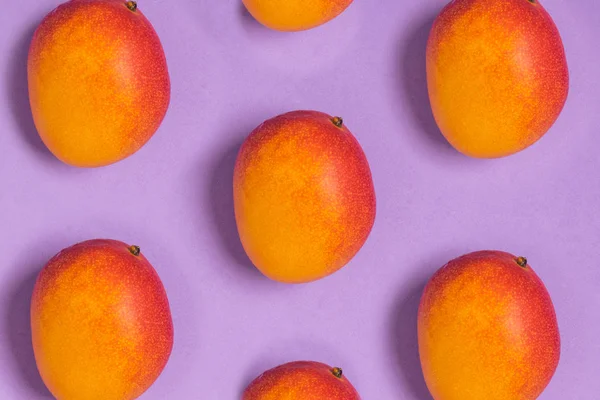 Patrón de mangos tropicales maduros fondo púrpura, vista superior, mi — Foto de Stock