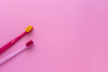 Diş hijyeni - diş fırçaları düz yatıyordu, üst görünüm, kopya alanı, p