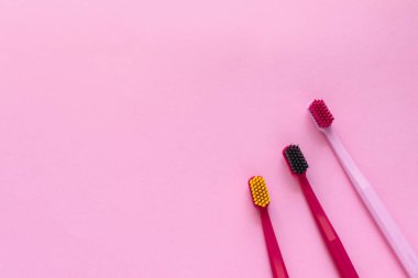 Diş hijyeni - diş fırçaları düz yatıyordu, üst görünüm, kopya alanı, p