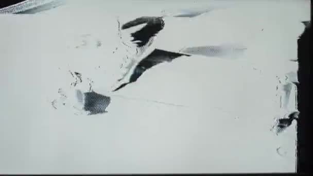 电动滑板上的雄脚沿地面移动 — 图库视频影像