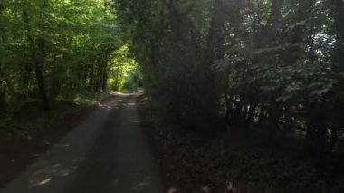 Ağaçlar bir tünel üzerinden İngiltere'de bir ülke yolda sürüş bir aracın ön bağlı bir kamera çekim Pov