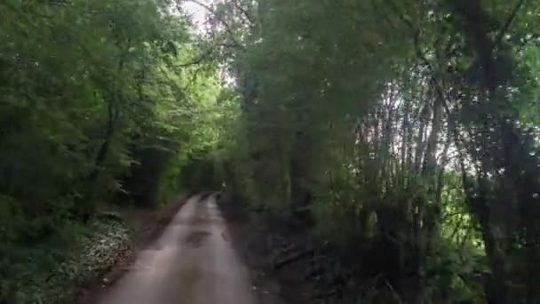 Akční Záběr Kamery Připojené Přední Části Vozidla Jízdy Tunelem Stromů — Stock video