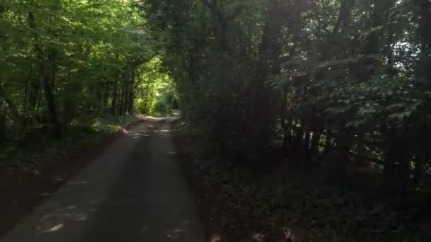 イギリスの国の道路の木のトンネルを通って運転車の前面に装着されたカメラから撮影ハメ撮り — ストック動画