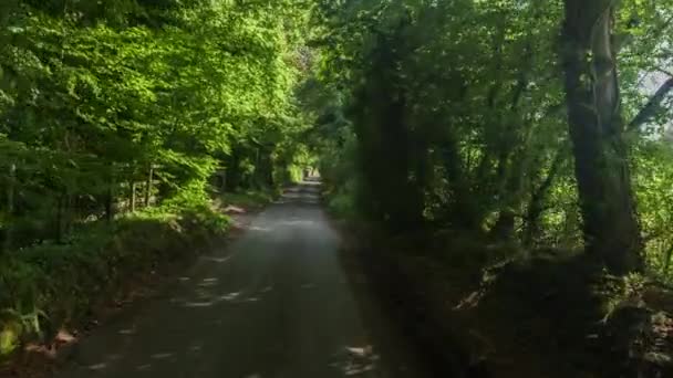イギリスの国の道路の木のトンネルを通って運転車の前面に装着されたカメラから撮影ハメ撮り — ストック動画