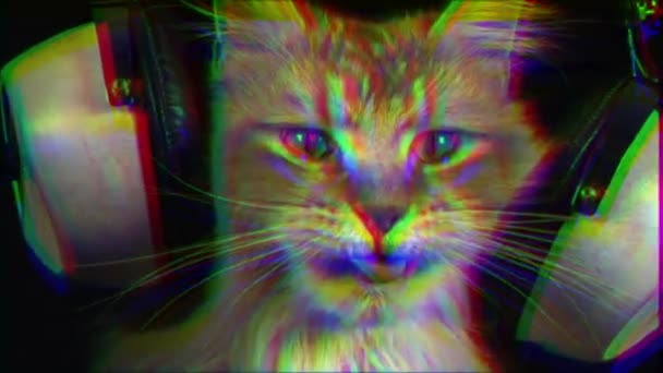 Όμορφη Δροσερή Ντίσκο Γάτα Ακουστικά — Αρχείο Βίντεο