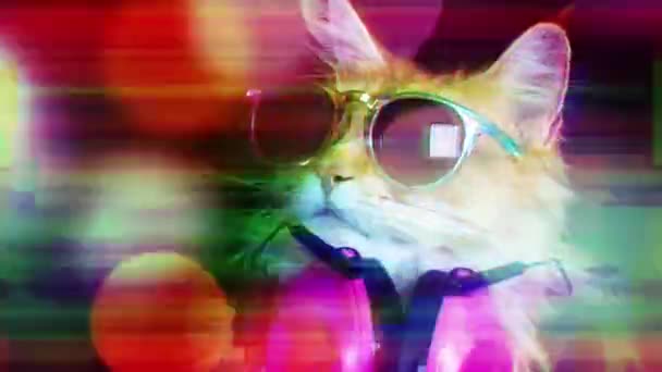 Bella Disco Cat Cool Con Cuffie Questa Versione Intenzionalmente Sovrapposto — Video Stock