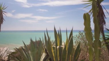 kaktüs ve Akdeniz'de arka planda scala dei turchi, Sicilya ile vahşi çalı