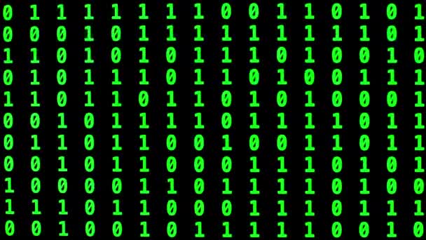 Binära Tal Data Och Datorprogrammering Information — Stockvideo