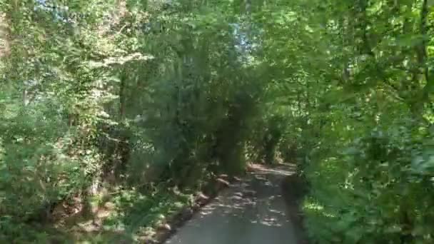 在威尔士小乡村车道上行驶的一辆汽车前面的摄像头拍摄的照片 — 图库视频影像
