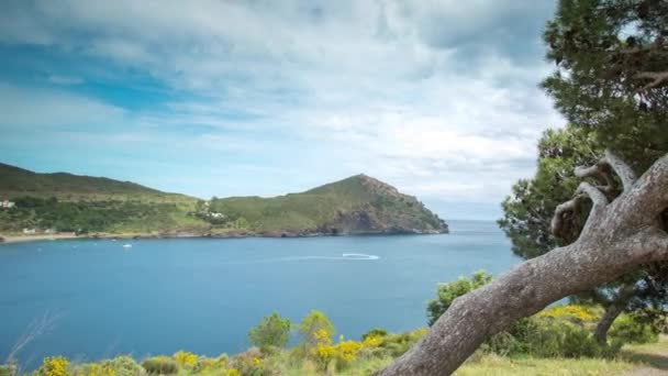 Cami Ronda Roses Ακτογραμμή Στην Καταλονία — Αρχείο Βίντεο