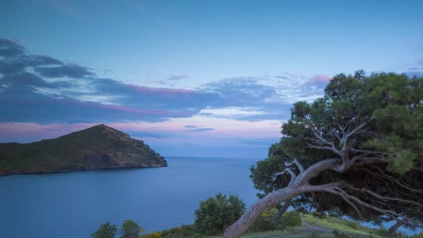 Cami Ronda Roses Ακτογραμμή Στην Καταλονία — Αρχείο Βίντεο