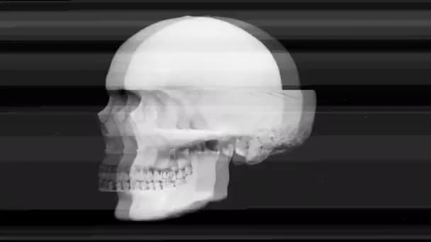 国際グリッチの効果と黒に対する回転の頭蓋骨 — ストック動画