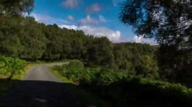 Hyperlapse İskoç dağlık güzel boş yollar aracılığıyla sürüş bir aracın ön bağlı kameradan Pov shot