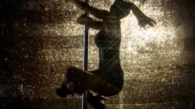 kadın direk dansör