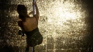 kadın direk dansör