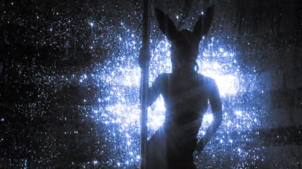 Direk Dansör Kostüm Tavşan Kulakları Ile Poz — Stok video