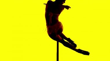 kadın direk dansör