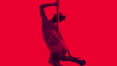 kadın direk dansör