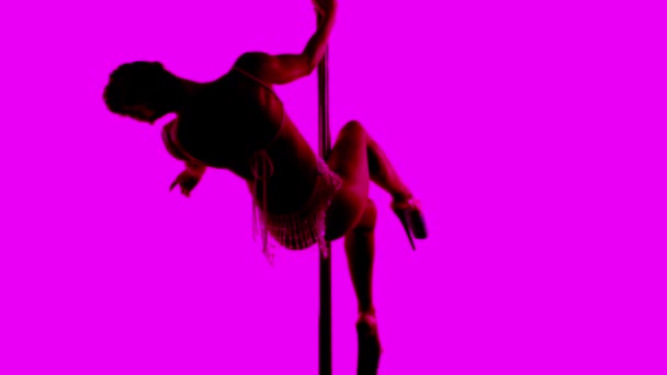 Female pole dancer — Stock Video