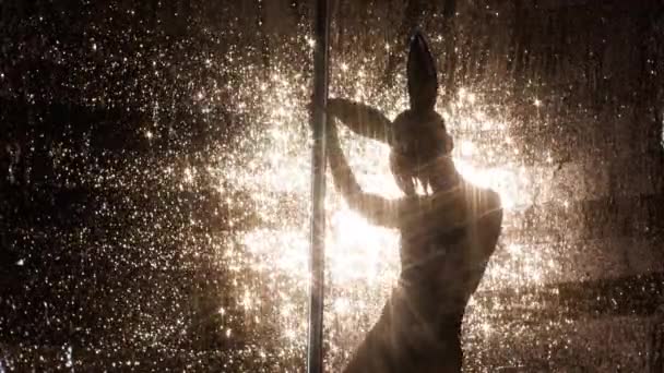 Pole Tänzerin Posiert Kostüm Mit Hasenohren Auf Goldenem Glitzerhintergrund — Stockvideo