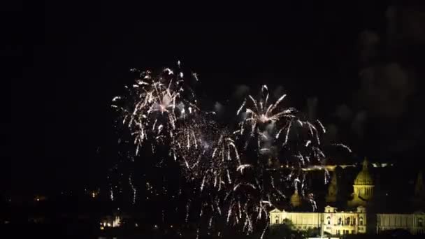 Fogos Artifício Coloridos Diferentes Explodindo Exibição Sobre Cidade — Vídeo de Stock