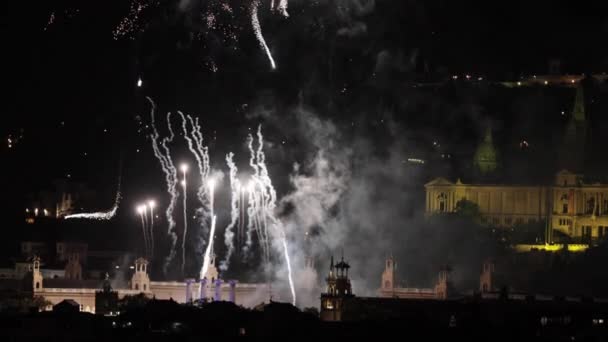 Διαφορετικές Πολύχρωμο Έκρηξη Πυροτεχνημάτων Στο Νυχτερινό Ουρανό — Αρχείο Βίντεο