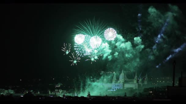 Diferentes Fuegos Artificiales Colores Explotando Pantalla Cielo Nocturno — Vídeo de stock