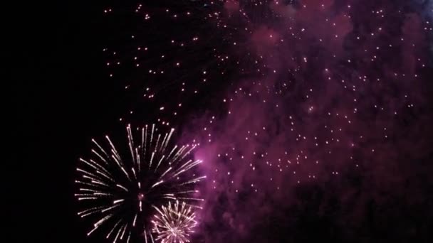 Diferentes Fuegos Artificiales Colores Explotando Pantalla Sobre Ciudad — Vídeo de stock