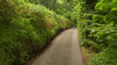 4k Galler'de bir ormandaki küçük kırsal şerit üzerinde sürüş bir aracın ön bağlı kameradan vurdu