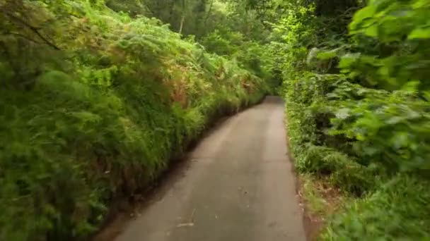 Shot Camera Attached Front Vehicle Driving Small Countryside Lanes Forest — Stock Video