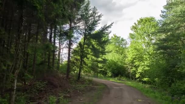 Strzał Kamerą Dołączony Przodu Pojazdu Ruchu Pasy Małej Wsi Lesie — Wideo stockowe