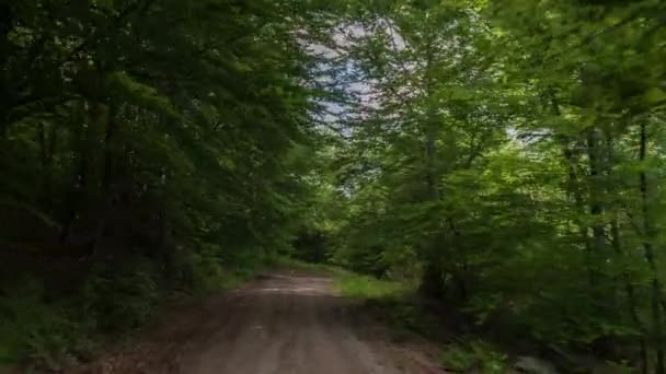 4k prise depuis une caméra fixée à l'avant d'un véhicule roulant sur de petites voies rurales dans une forêt au Pays de Galles 