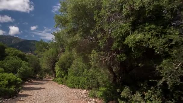 Bir Road Ekli Bir Kamera Çekim Pov Araç Güzel Yollar — Stok video