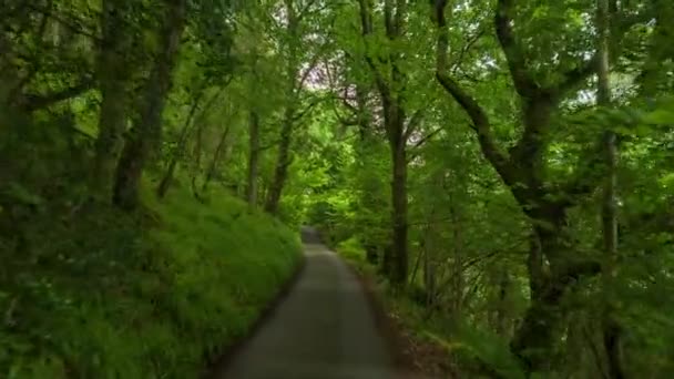 4k prise depuis une caméra fixée à l'avant d'un véhicule roulant sur de petites voies rurales dans une forêt au Pays de Galles 