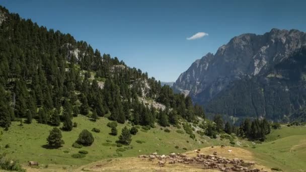 Pedra forca — Αρχείο Βίντεο