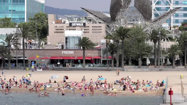 Барселона Июль 2017 Люди Наслаждаются Пляжем Олимпийском Районе Порта Барселоны — стоковое видео