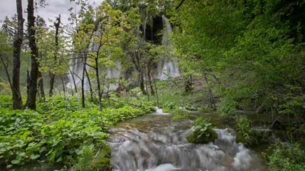 Zeitraffer Des Naturwunders Des Nationalparks Plitvicer Seen Kroatien — Stockvideo