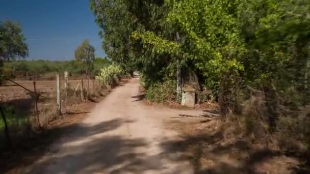 Pov Shot Camera Attached Front Road Vehicle Driving Beautiful Trails — Stock Video