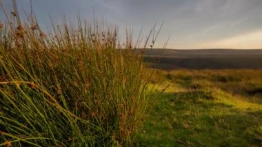 Exmoor, Devon vahşi tepeler haddeleme günbatımı