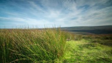 Exmoor, Devon vahşi tepeler haddeleme erken sabah sırasında
