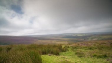 Exmoor, Devon vahşi tepeler haddeleme erken sabah sırasında